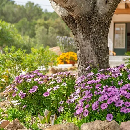 Casa Dina * إيز ميركاذال