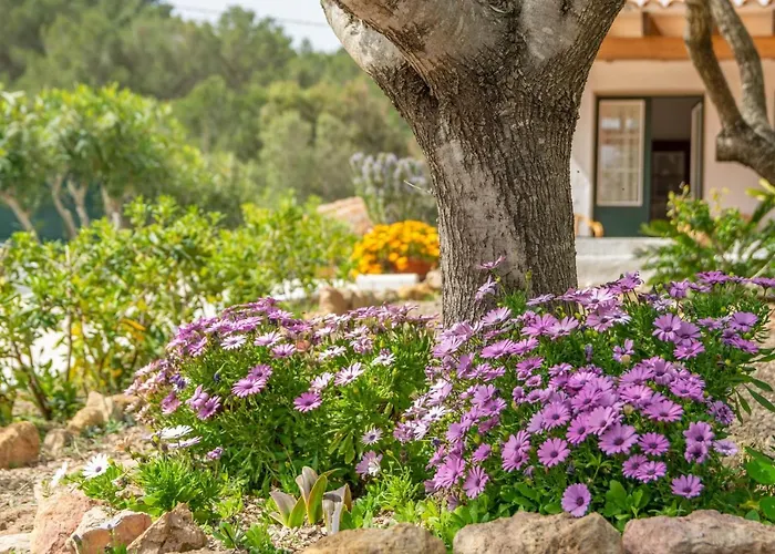 Casa Dina * Es Mercadal